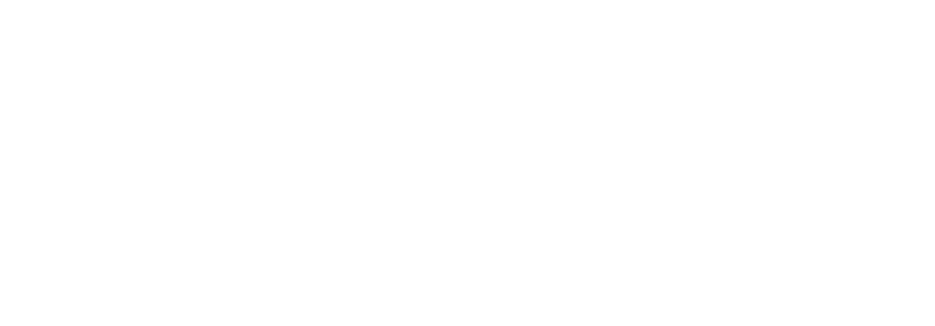 Digital55
